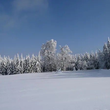 Lägenhet Berggasthof Heuberghaus, Direkt Am Rennsteig Friedrichroda