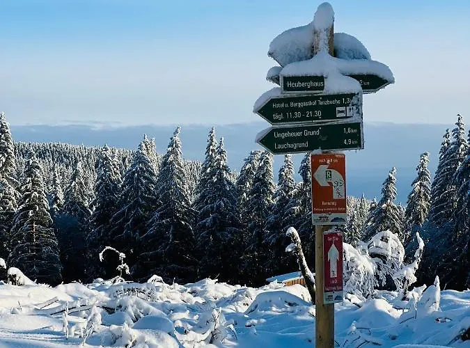 Daire Berggasthof Heuberghaus, Direkt Am Rennsteig *