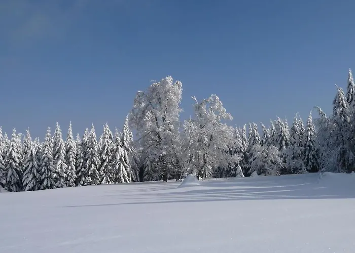 Daire Berggasthof Heuberghaus, Direkt Am Rennsteig Friedrichroda