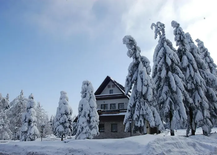 Berggasthof Heuberghaus, Direkt Am Rennsteig Daire
